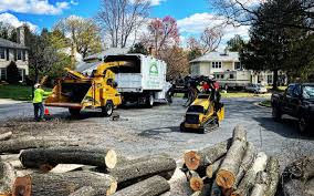 Best Firewood Processing and Delivery  in South Amboy, NJ