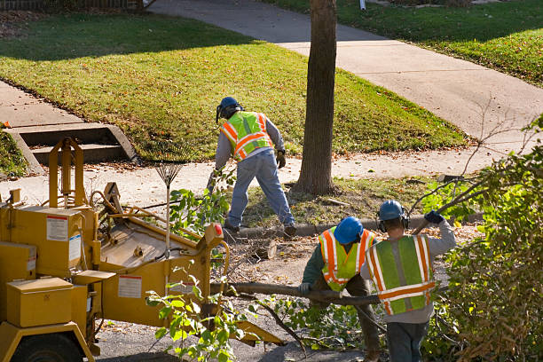 Best Utility Line Clearance  in South Amboy, NJ